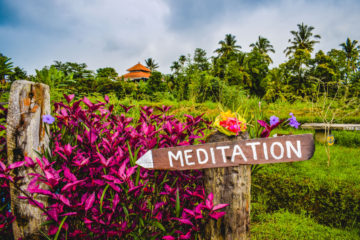 Lush vegetation in front of temple building with pointing sign reading "Meditation"